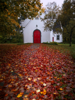 Leaves_LazloGyorsok.jpg