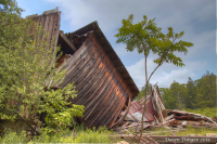 Rural_Decay_DawnDingee.jpg
