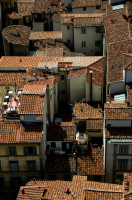 Rooftops.jpg