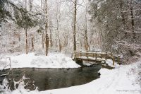 Bridge_at_Stone_Church_2026_DawnDingee.jpg