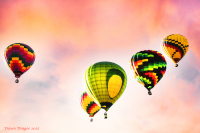 Balloonfest_2025_DawnDingee.jpg