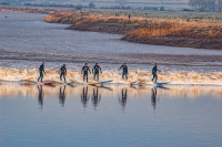 Six_Severn_Surfers_-_Ian_Peters-.JPG