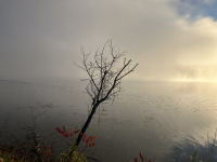 IMG_3363.jpeg