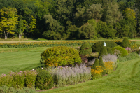 DSCF7863.jpg