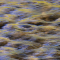 _88A8037-2-Edit.jpeg