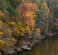 FallColors_LazloGyorsok.jpg