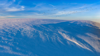 Winters_Arrival-B_Wilcox.jpg