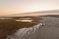 hoeller_brewster_flats_sunrise__1_nature-1.jpg