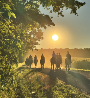 SunriseHorses_PamelaPeeters.jpg