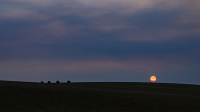 Twlight_Moon-BWilcox_-010.jpg
