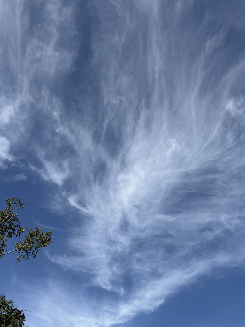 Sky  by Nancy Zannini #2
