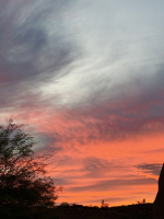 IMG_2994.jpeg