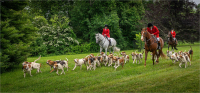 The_Hunt_by_Bert_Schmitz.jpg