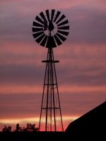 Amish_Sunset__BWilcox.jpg