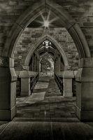 Archway_rpauline.jpg