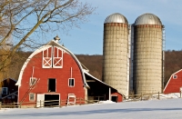 BWilcox-Smithfield_Farm.jpg