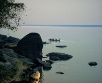 Coming_Home_Brahmaputra.jpg