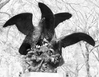 Eagles_and_Prey_28Central_Park_statue_by_C__Fratin2C_sculptor3B_G__A__Mudge2C_photographer29.jpg