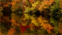 Fall_Reflection_by_Bert_Schmitz.jpg