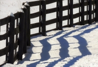 Fence_Shadows_28229.jpg