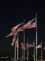 Flags_in_Wash_DC_DDingee.jpg