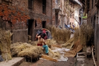Harvest_in_Nepal.jpg