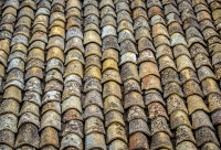 IMG_0573-1_Roof_Tiles_JLandn.jpg