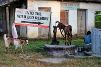 Into_the_wild_Nepal.jpg