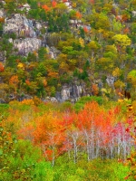 Jane_Rossman__Acadia_Colors.jpg