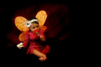 Leilani_the_Flower_Fairy_-_Gisele_Doyle.jpg