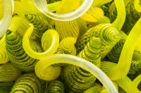 Lemon2CLime_Twists_by_Ann_Dillon_Wilkinson.JPG