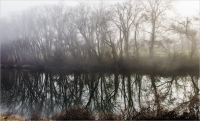 Mist_and_Relections_by_Bert__Schmitz.jpg