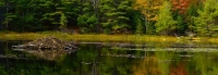 P1060845_Beaver_Pond_Reflections--JER.jpg