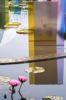 Pond_with__Glass__Ann_Wilkinson.JPG