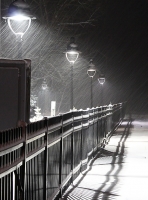 Snowy_Night_DDingee.jpg