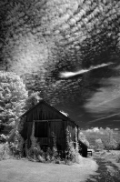 TheOldBarn_LazloGyorsok.jpg
