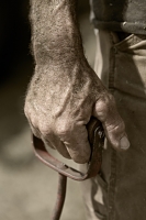 Working_Hand__BWilcox.jpg