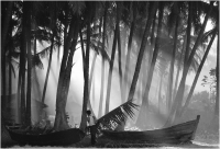 1-Housatonic-BertSchmitz-Gathering_Palm_Leaves.jpg