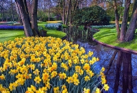 3-Housatonic-FredrickOrkin-Keukenhof.jpg