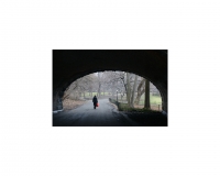 A_Walk_in_Central_Park,_NYC,_copy.jpg