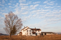 Ann_Dillon_Wilkinson-__Death_of_American_Farm_-_Forsaken.jpg