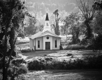 Ann_Wilkinson_-_Chapel_in_the_Woods.jpg