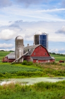 Ann_Wilkinson_The_Homestead_Farm.jpg