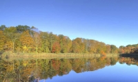 Autumn_Reflections_2_r_pauline.jpg