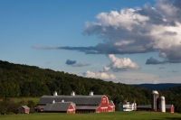 Big_Red_Barn_by_Ann_Wilkinson.jpg