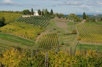 Chianti-Country,-Tuscany-.jpg