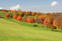 Dawn_Dingee_Fall_Colors_at_Pugsley_Hill.jpg