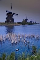 Fred_Orkin_Kinderdijk.jpg