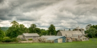 Lisa_Dellwo_Frank_Brothers_Dairy_Farm.jpg