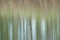 Lisa_Dellwo_Sanctuary.jpg